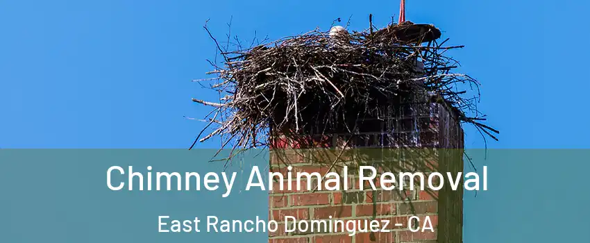  Chimney Animal Removal East Rancho Dominguez - CA