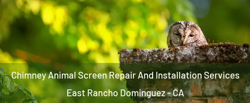  Chimney Animal Screen Repair And Installation Services East Rancho Dominguez - CA
