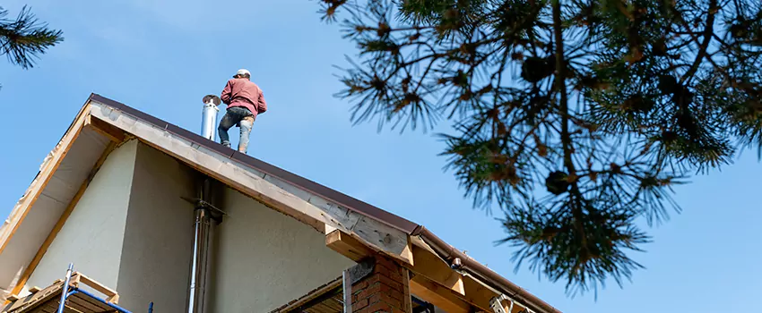 Birds Removal Contractors from Chimney in East Rancho Dominguez, CA