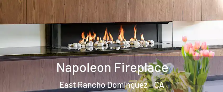  Napoleon Fireplace East Rancho Dominguez - CA